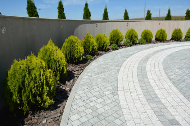 Best Concrete Paver Driveway  in Lorenzo, TX